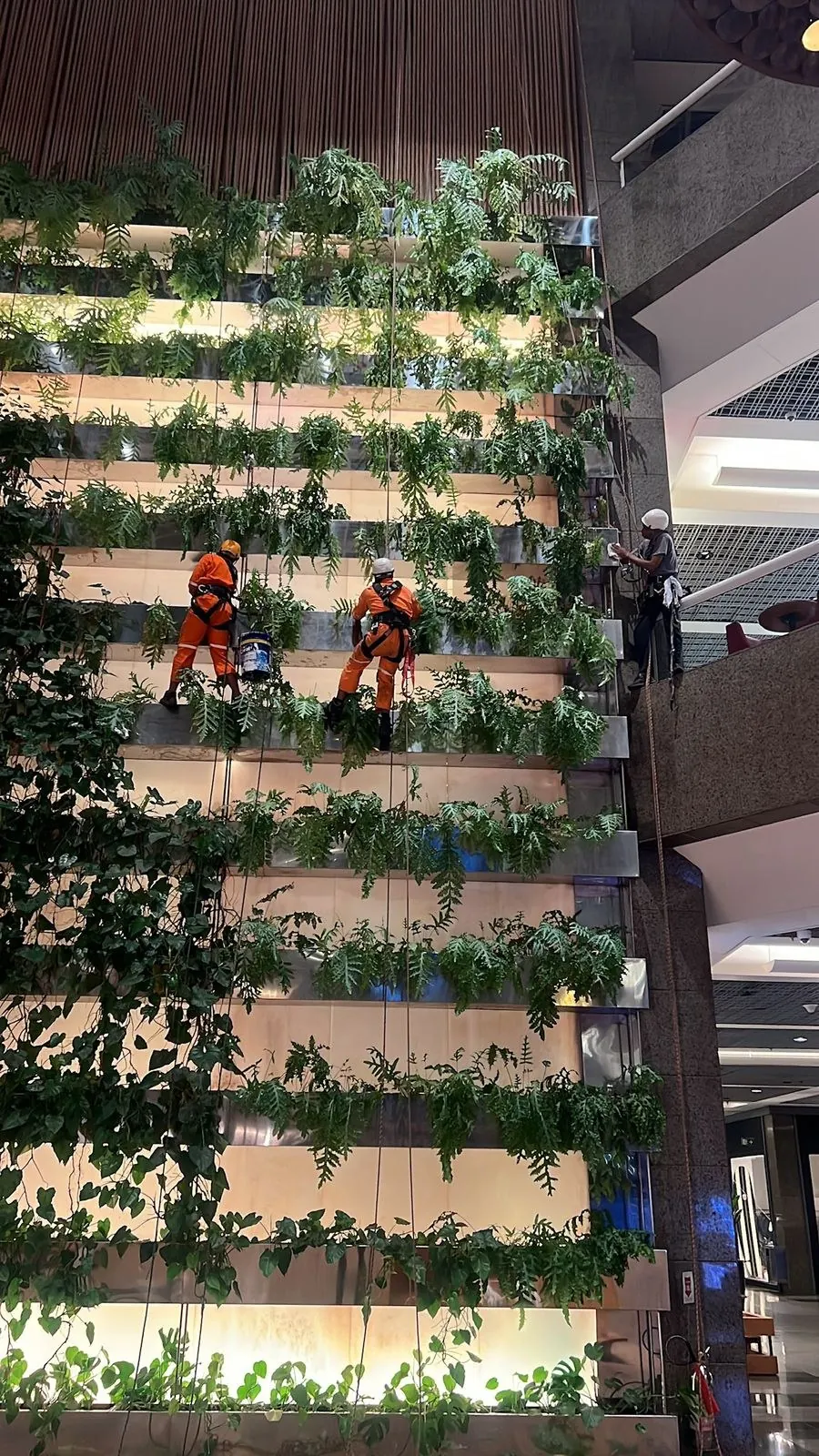 Documentary photograph of JFS building maintenance activities